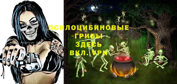 прущие грибы Алексин