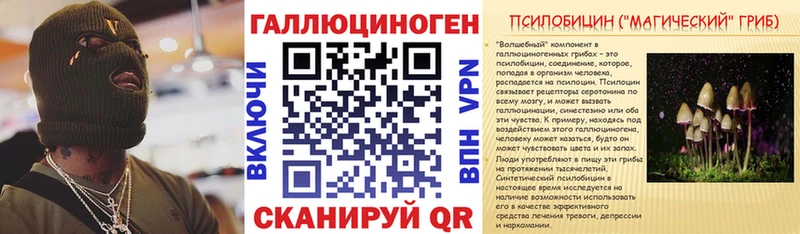 гидра как зайти Усть-Катав Псилоцибиновые грибы Psilocybe